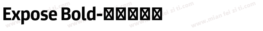 Expose Bold字体转换